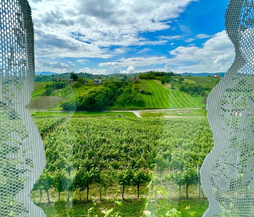 Wine Paradise Sveti Ivan Zelina Exterior photo