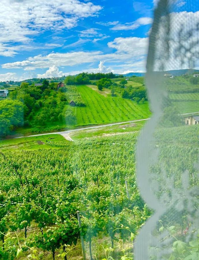 Wine Paradise Sveti Ivan Zelina Exterior photo