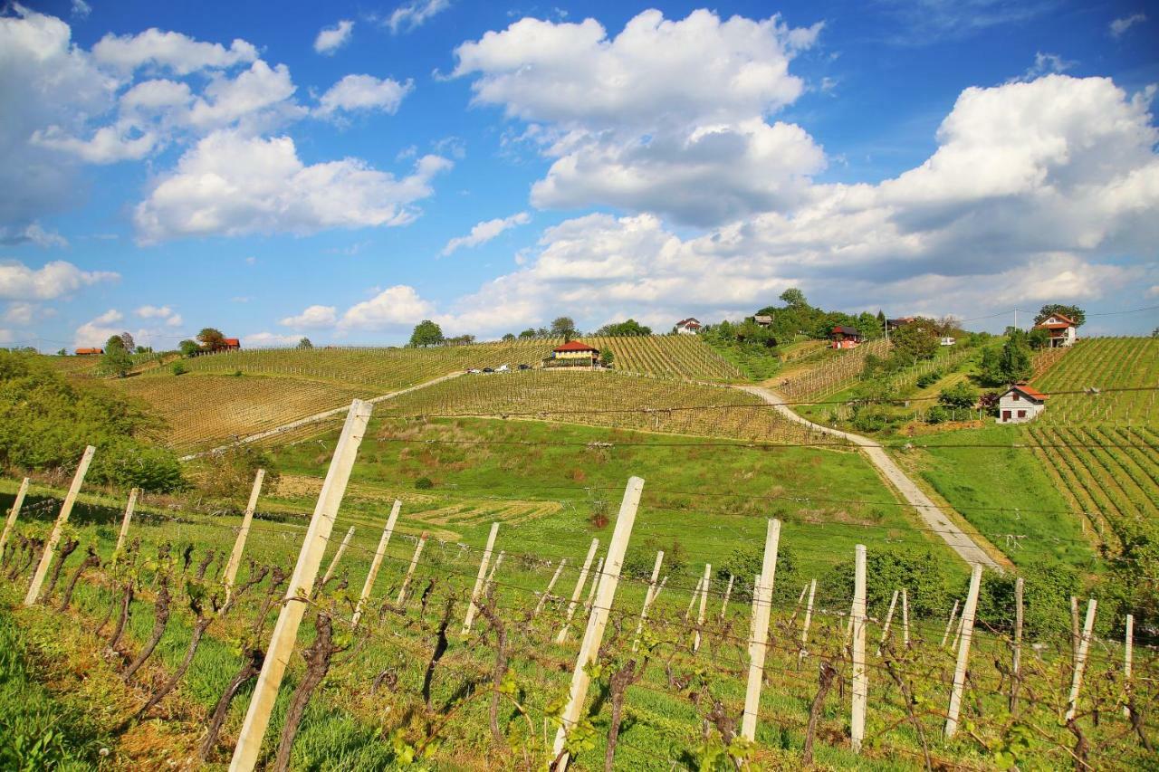 Wine Paradise Sveti Ivan Zelina Exterior photo