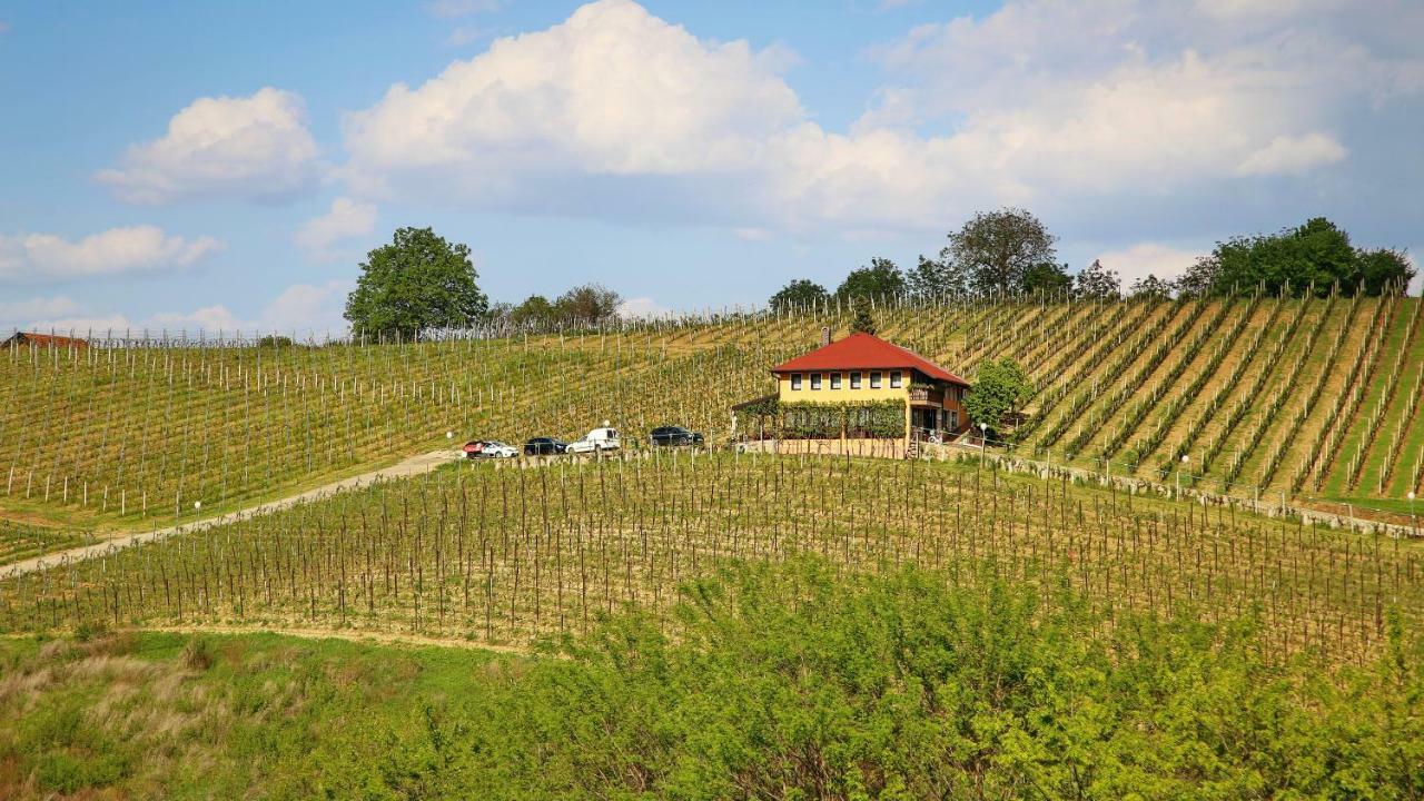 Wine Paradise Sveti Ivan Zelina Exterior photo
